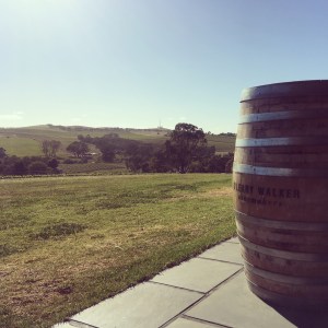 Wine barrel and view over winery