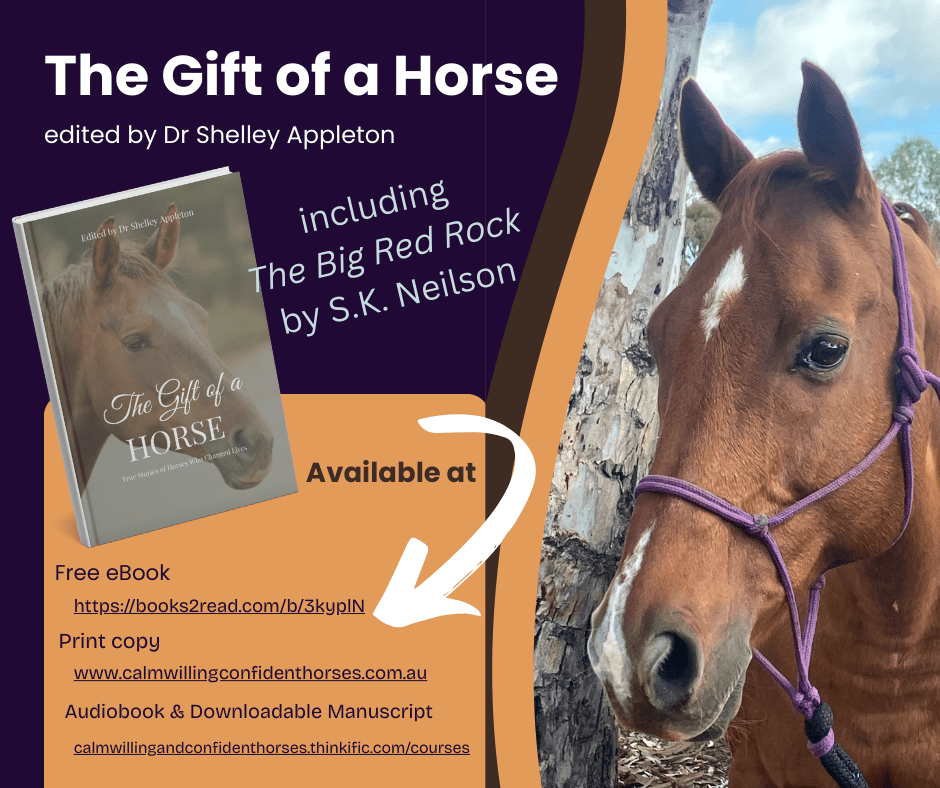 Find my short story THE BIG RED ROCK in the new anthology THE GIFT OF A&nbsp;HORSE